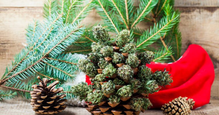 Holiday Cannabis