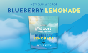 Blueberry Lemonade Gummies Announcement